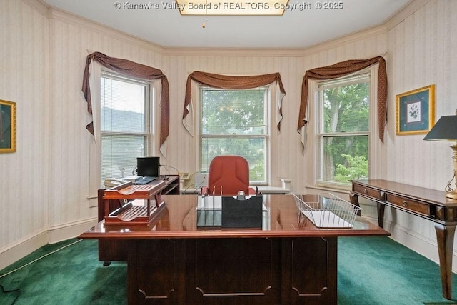 1598 Kanawha Blvd E, Charleston, WV 25311 - office featuring carpet floors, healthy amount of natural light, wallpapered walls, and crown molding