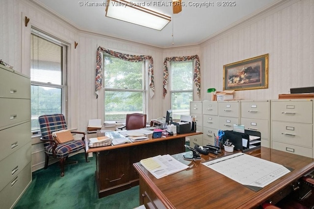 1598 Kanawha Blvd E, Charleston, WV 25311 - carpeted office space featuring crown molding