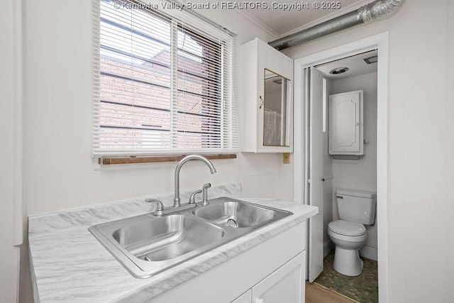 1598 Kanawha Blvd E, Charleston, WV 25311 - bathroom featuring vanity, healthy amount of natural light, and ornamental molding