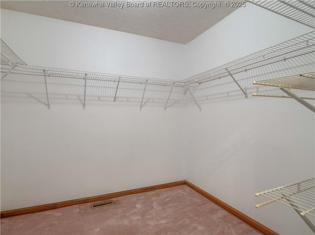 3710 Cambridge Cir, Hurricane, WV 25526 - walk in closet with carpet flooring