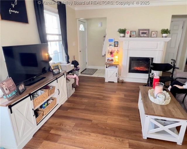 602 43rd St SE, Charleston, WV 25304 - living room featuring wood finished floors, a glass covered fireplace, and ornamental molding