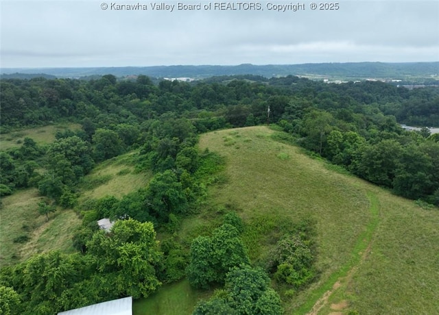 3334 Redmond Ridge Rd, Gallipolis Ferry, WV 25515 - photo 36