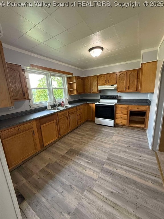 4303 Thomas Ridge Rd, Leon, WV 25123 - kitchen with white electric range oven, dark countertops, brown cabinets, light wood finished floors, and crown molding