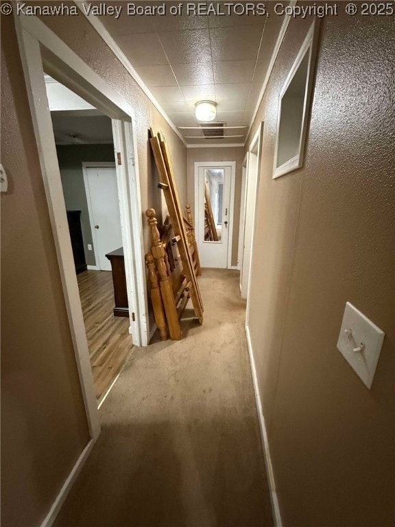 4303 Thomas Ridge Rd, Leon, WV 25123 - hallway with carpet flooring
