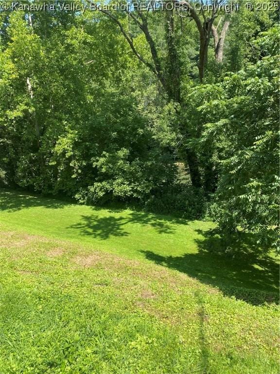 42 Pine Cone Rd, Elkview, WV 25071 - view of green lawn