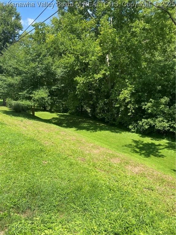 42 Pine Cone Rd, Elkview, WV 25071 - view of grassy yard