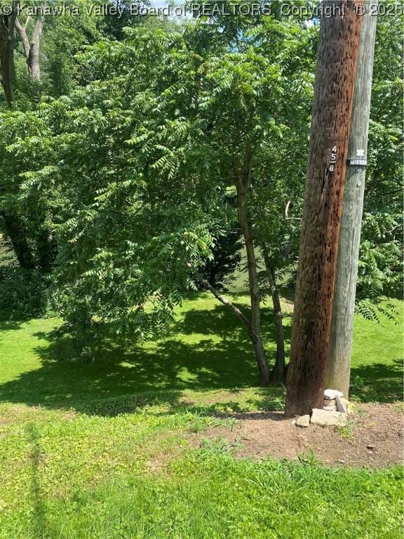 42 Pine Cone Rd, Elkview, WV 25071 - view of nature