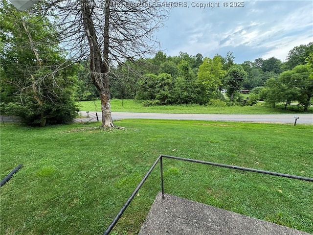 913 Charleston Rd, Point Pleasant, WV 25550 - view of green lawn