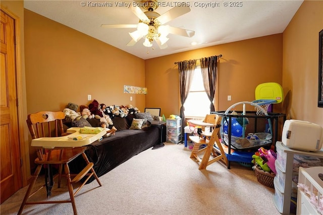 8 Anchors Way, Winfield, WV 25213 - playroom with carpet flooring and a ceiling fan