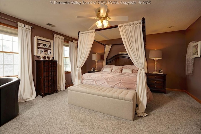 8 Anchors Way, Winfield, WV 25213 - bedroom with carpet flooring and ceiling fan