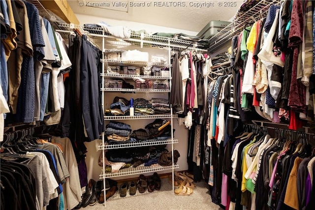 8 Anchors Way, Winfield, WV 25213 - view of walk in closet