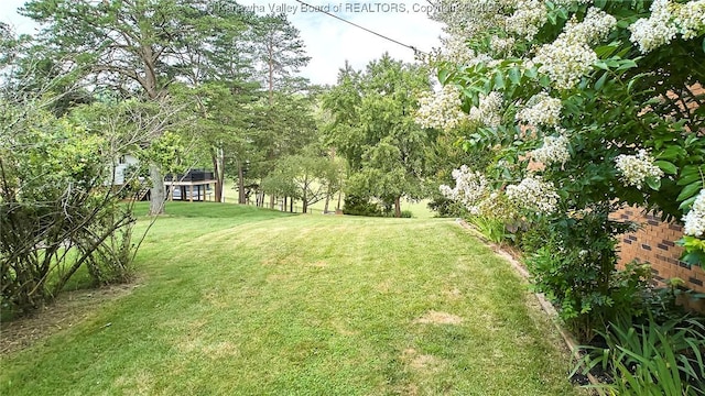 5301 Balsam Cir, Charleston, WV 25313 - view of grassy yard