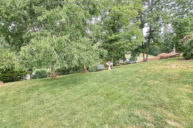 5301 Balsam Cir, Charleston, WV 25313 - view of grassy yard