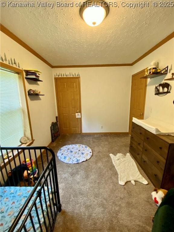 382 Midway Acres Dr, Ripley, WV 25271 - photo 26