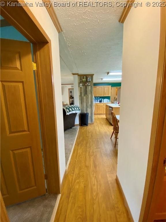 382 Midway Acres Dr, Ripley, WV 25271 - photo 28