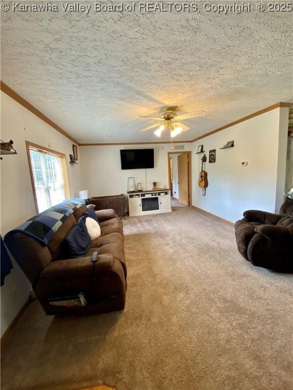 382 Midway Acres Dr, Ripley, WV 25271 - photo 3