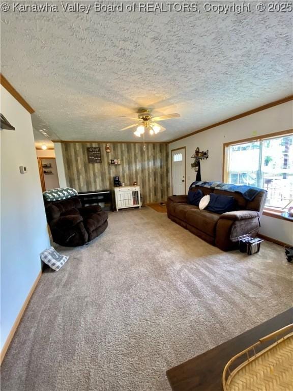 382 Midway Acres Dr, Ripley, WV 25271 - photo 4