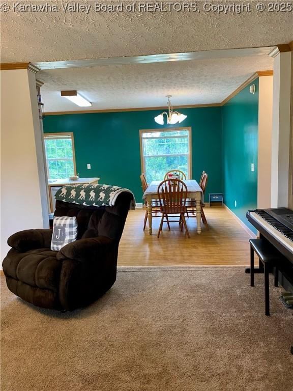 382 Midway Acres Dr, Ripley, WV 25271 - photo 5