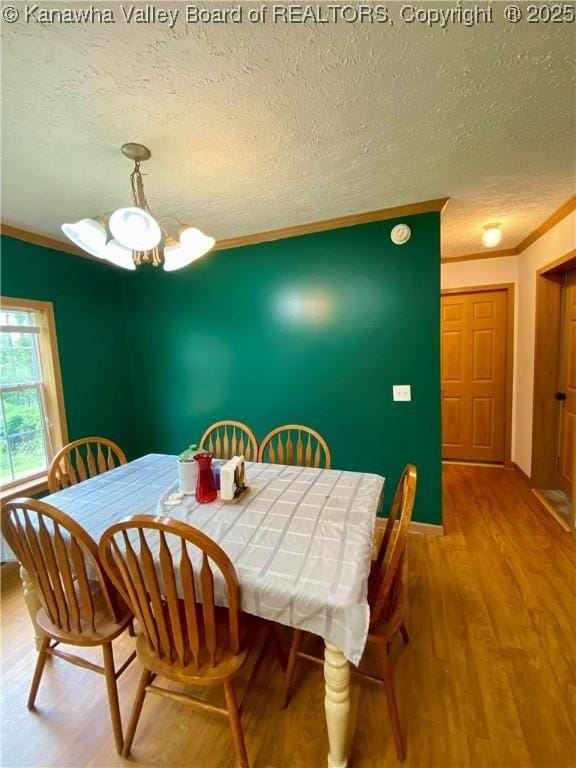 382 Midway Acres Dr, Ripley, WV 25271 - photo 6