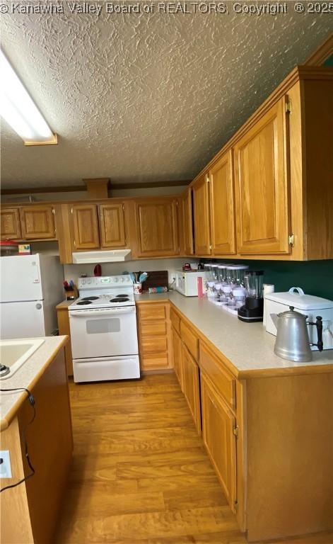 382 Midway Acres Dr, Ripley, WV 25271 - photo 9