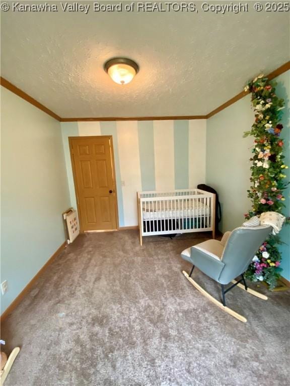 382 Midway Acres Dr, Ripley, WV 25271 - photo 20