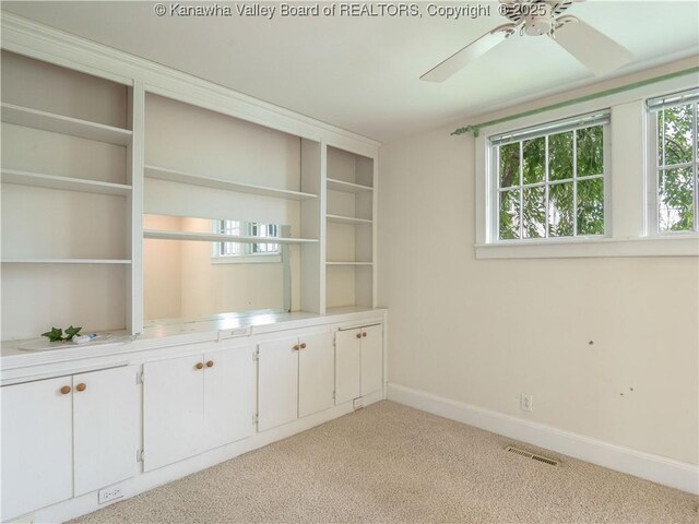 207 N St, Ripley, WV 25271 - photo 17