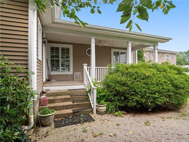 207 N St, Ripley, WV 25271 - photo 46