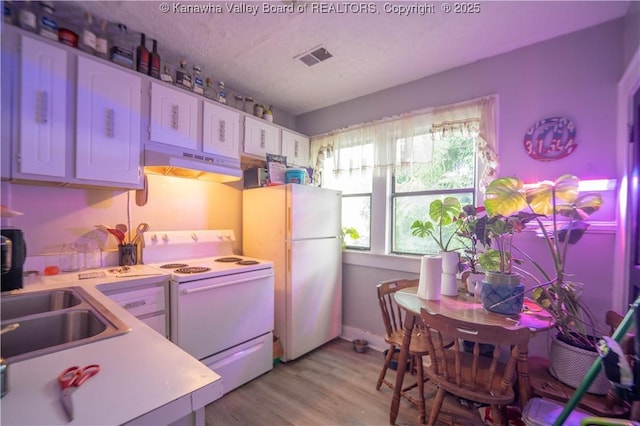 512 Maxwell St, Charleston, WV 25311 - kitchen featuring white appliances, under cabinet range hood, light countertops, and light wood-style floors