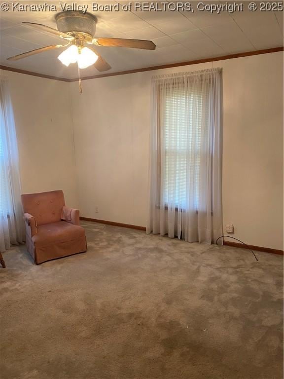 510 S Railway St, Cedar Grove, WV 25039 - unfurnished room with ornamental molding, carpet floors, and ceiling fan