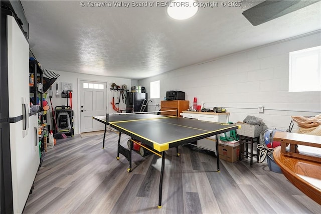 1204 Highland Dr, Saint Albans, WV 25177 - game room with wood finished floors and concrete block wall
