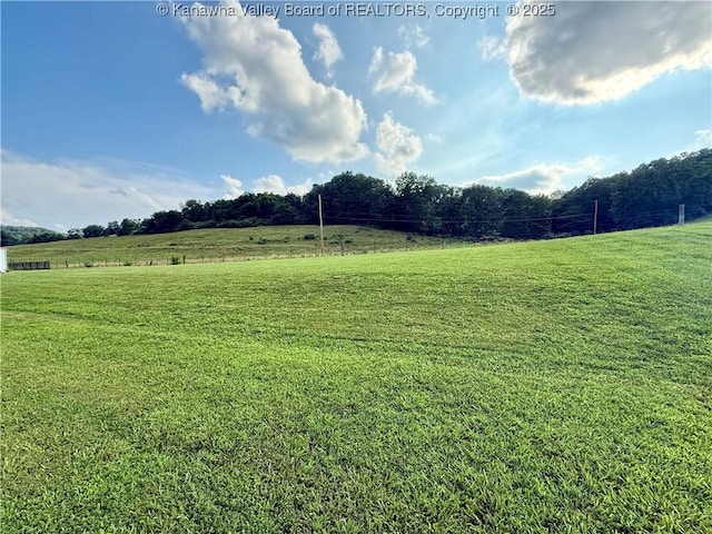231 Pleasant Colony Dr, Evans, WV 25241 - photo 23