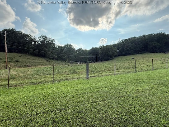 231 Pleasant Colony Dr, Evans, WV 25241 - photo 24