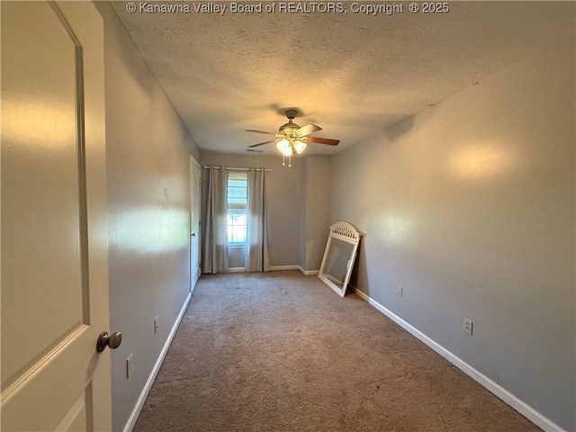 231 Pleasant Colony Dr, Evans, WV 25241 - photo 19