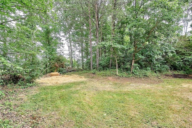 4013 Seymour Ln, Charleston, WV 25313 - view of grassy yard featuring a view of trees
