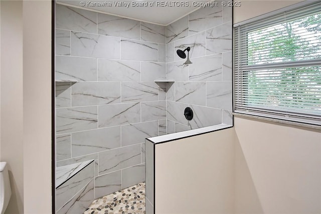 4013 Seymour Ln, Charleston, WV 25313 - full bath featuring a walk in shower and toilet