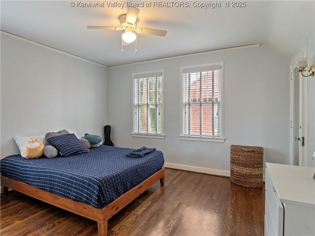 5 Manor Pl, Charleston, WV 25311 - bedroom with wood finished floors, lofted ceiling, and ceiling fan