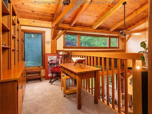114 Shady Ln, Winfield, WV 25213 - interior space featuring wooden ceiling and carpet flooring