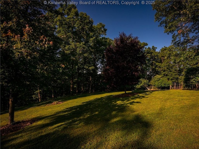 114 Shady Ln, Winfield, WV 25213 - view of grassy yard featuring a wooded view
