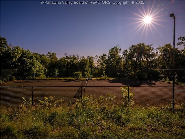 114 Shady Ln, Winfield, WV 25213 - yard at dusk with view of wooded area
