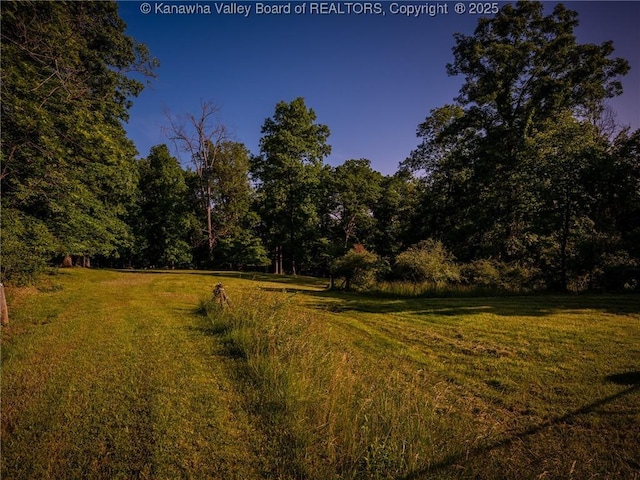 114 Shady Ln, Winfield, WV 25213 - view of green lawn featuring a forest view