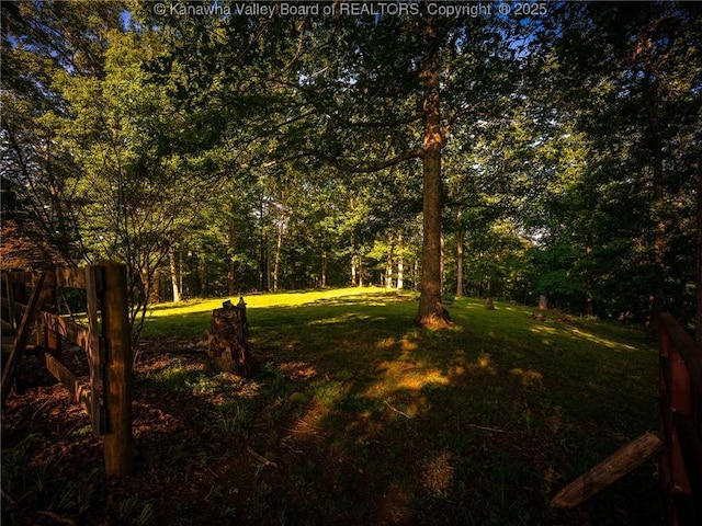 114 Shady Ln, Winfield, WV 25213 - view of grassy yard featuring a view of trees