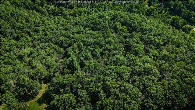 114 Shady Ln, Winfield, WV 25213 - aerial view of property and surrounding area