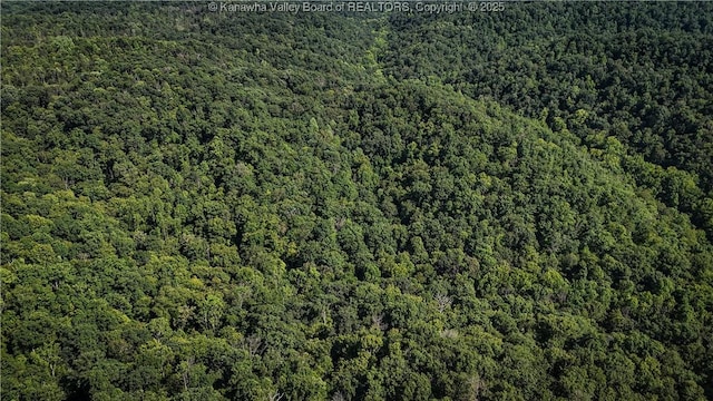 114 Shady Ln, Winfield, WV 25213 - view of property location with a heavily wooded area