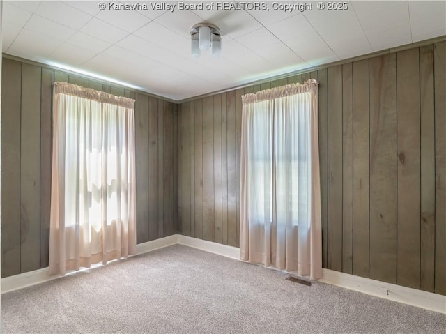 567 Garrison Ave, Charleston, WV 25302 - carpeted empty room featuring plenty of natural light and wooden walls