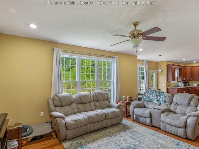 35 Hyde Park Rd, Winfield, WV 25213 - living area featuring healthy amount of natural light, light wood finished floors, ceiling fan, and recessed lighting