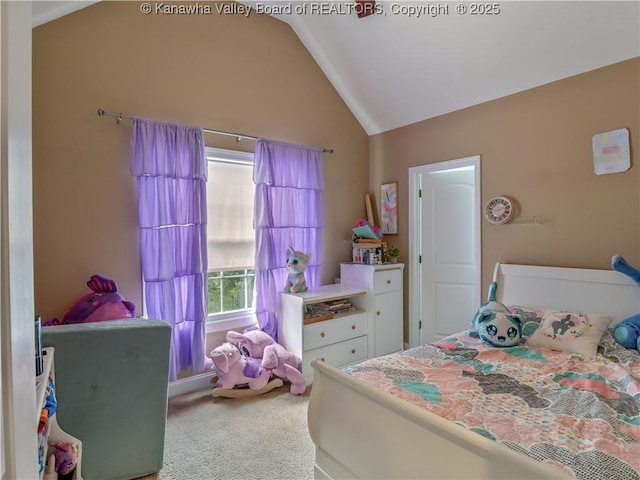 35 Hyde Park Rd, Winfield, WV 25213 - bedroom featuring lofted ceiling and carpet