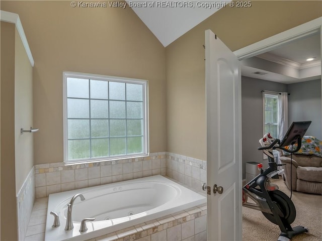 35 Hyde Park Rd, Winfield, WV 25213 - full bath featuring a tub with jets, plenty of natural light, and lofted ceiling