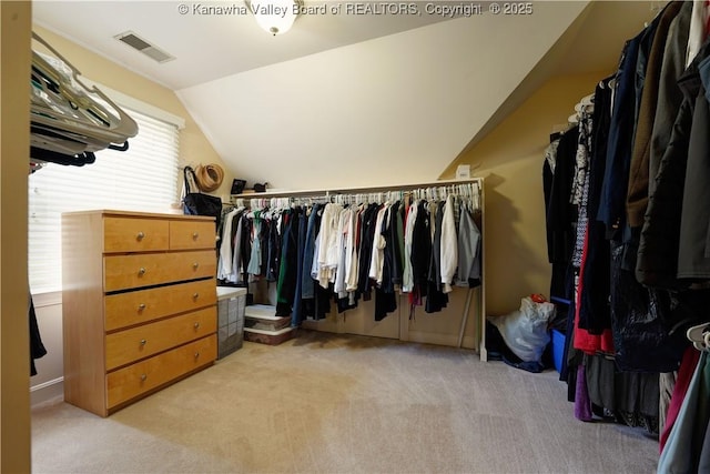 135 E Ridge Rd, Charleston, WV 25314 - walk in closet featuring vaulted ceiling and carpet flooring