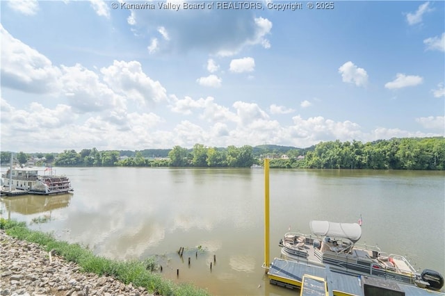 1324 Kanawha Ave, Dunbar, WV 25064 - water view featuring a boat dock