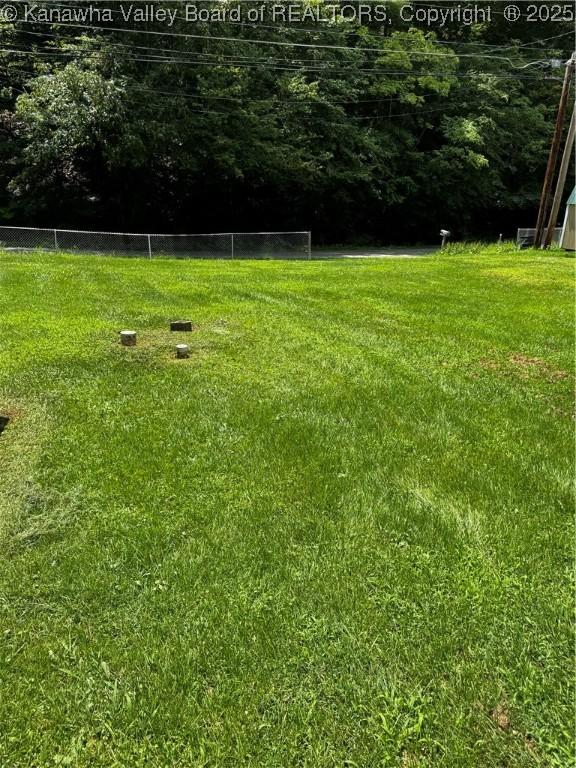 1198 Caney Branch Rd, Chapmanville, WV 25508 - view of yard